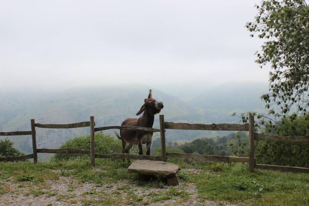 Los Pradones San Roque de Ríomiera エクステリア 写真