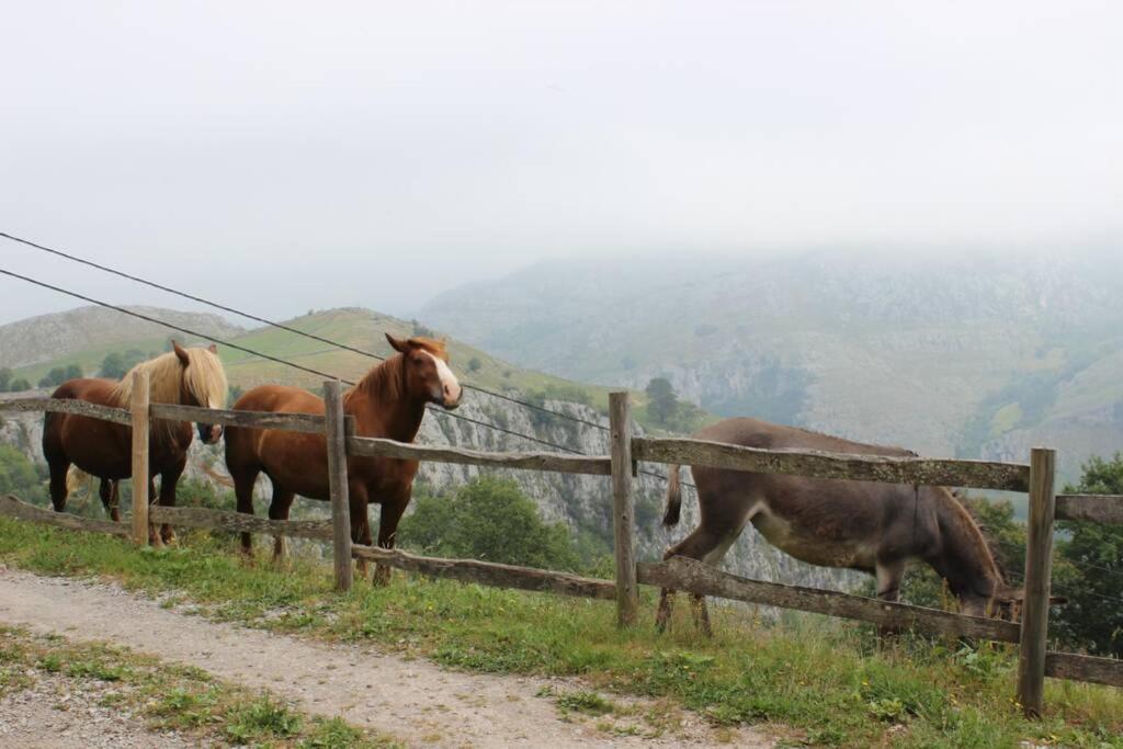 Los Pradones San Roque de Ríomiera エクステリア 写真